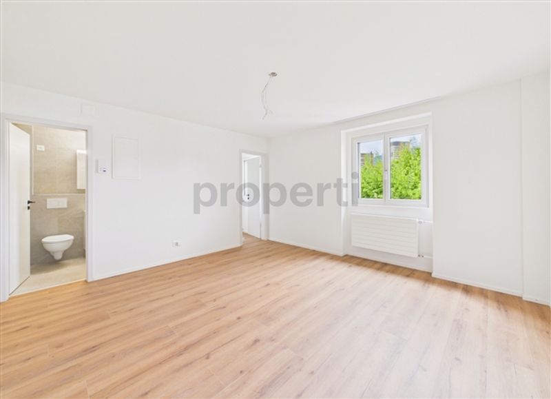 Neu renovierte 1.5-Zimmer-Apartment mit Kellerraum, Luzern - 4