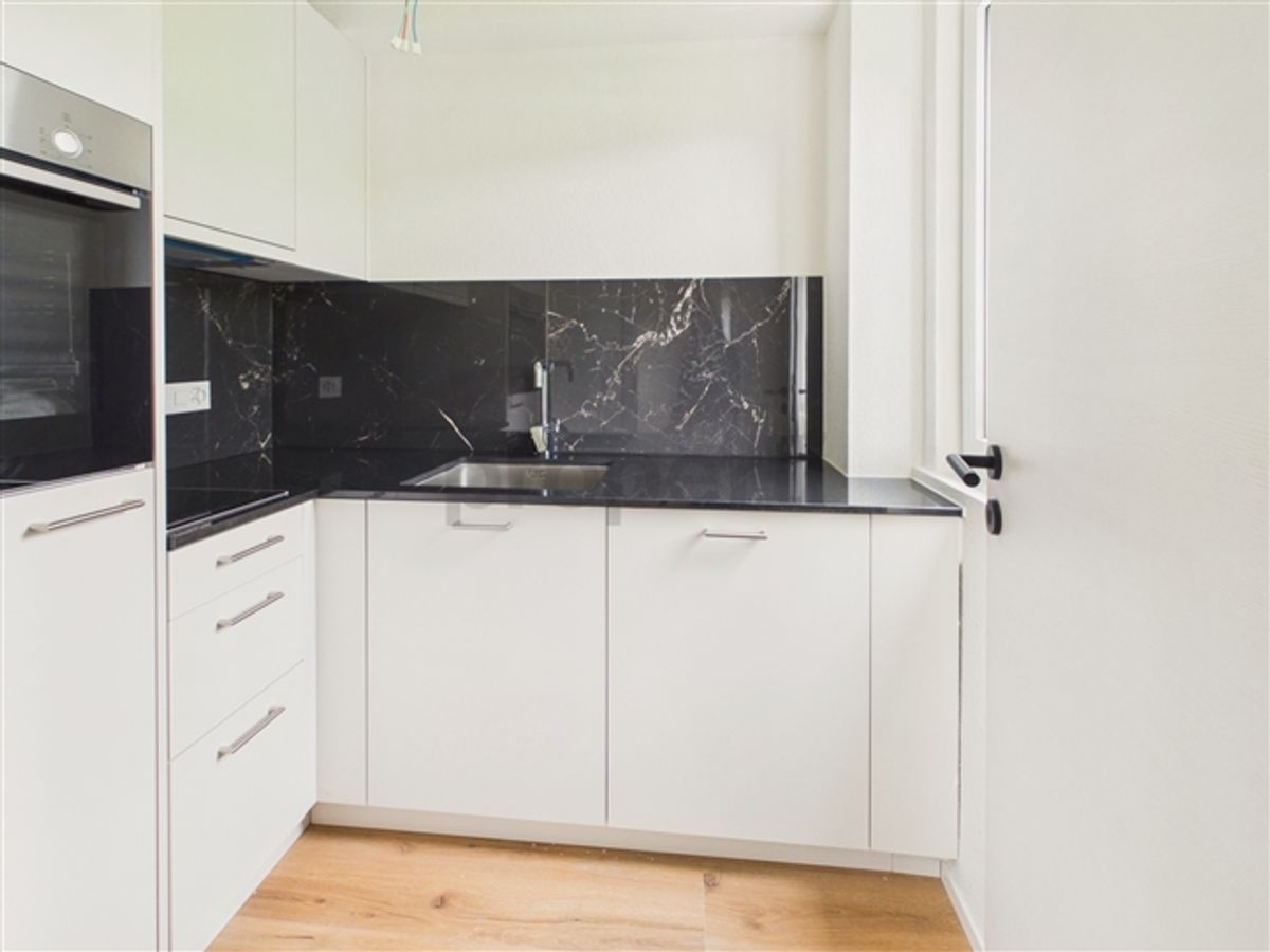 Neu renovierte 1.5-Zimmer-Apartment mit Kellerraum, Luzern - 6