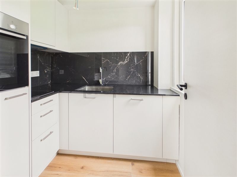 Neu renovierte 1.5-Zimmer-Apartment mit Kellerraum, Luzern - 7