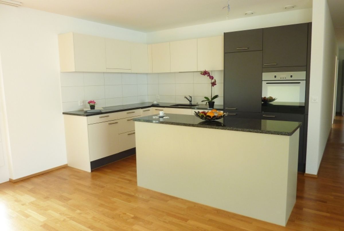 Moderne Attikawohnung mit tollem Grundriss - 1