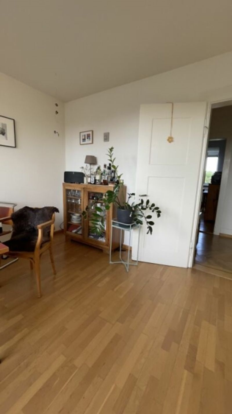Charmante Altbau-Wohnung am Rütimeyerplatz - 5