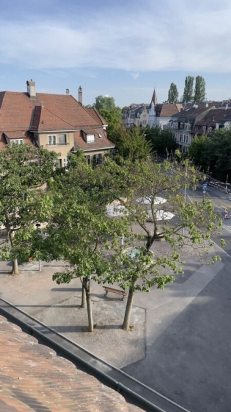 Charmante Altbau-Wohnung am Rütimeyerplatz - 9