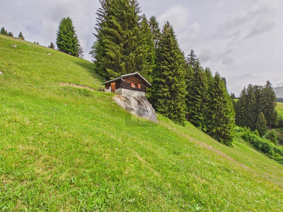 NATUR-PARADIES MIT TRAUMHAFTER WEITSICHT - 1