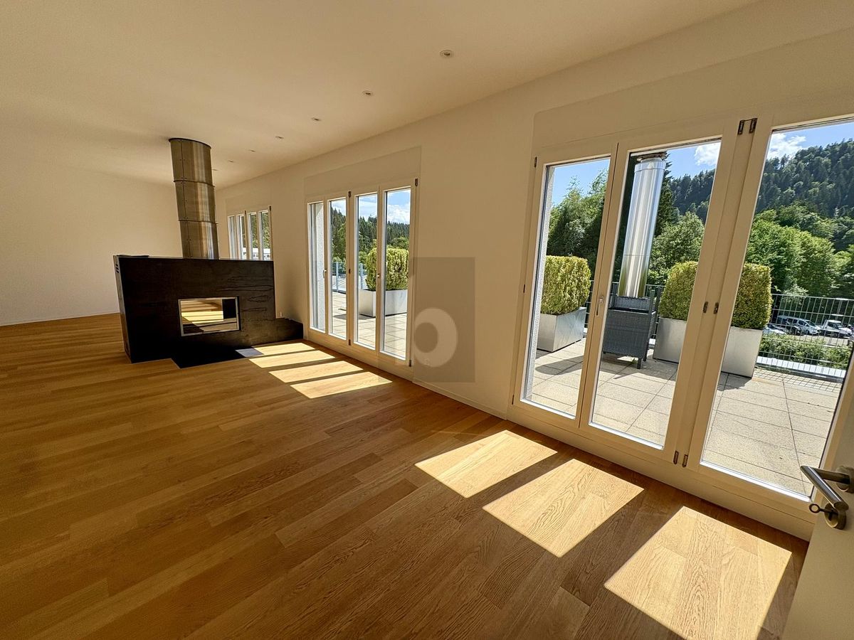 GROSSZÜGIG MIT TERRASSE UND SAUNA - 1
