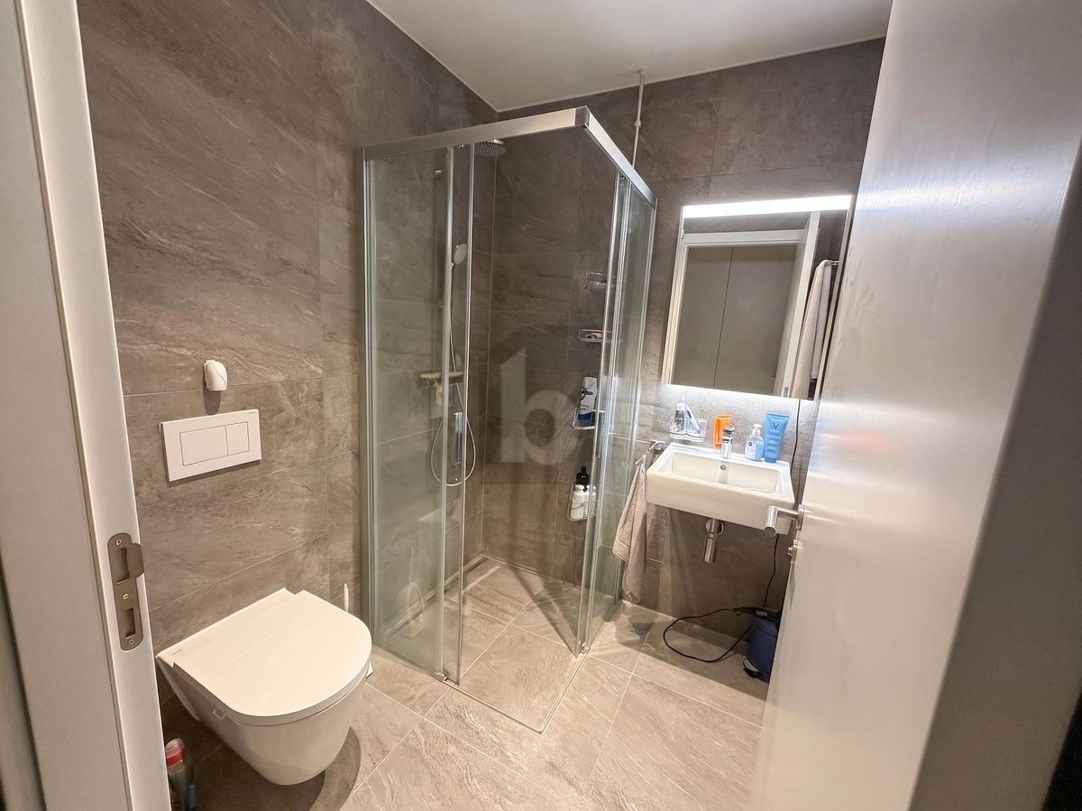 ÉLÉGANT, MODERNE ET MINERGIE - 3