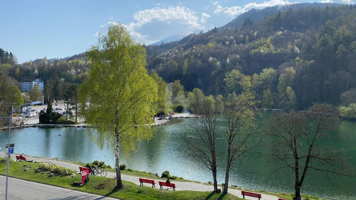 NEUBAU AM WERDENBERGER SEE (B3O2) - 3