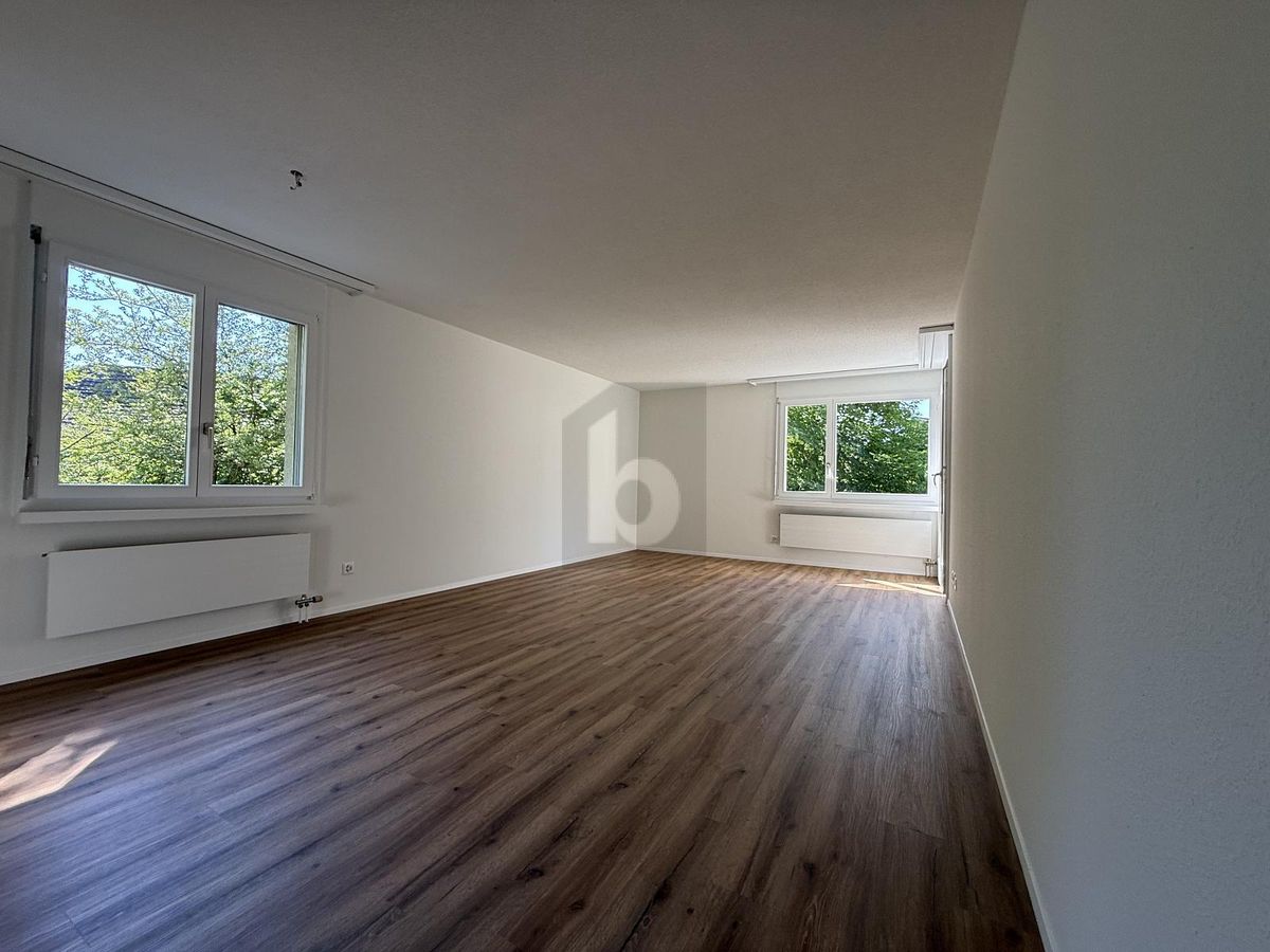 FRISCH RENOVIERT MIT GROSSEM BALKON - 1