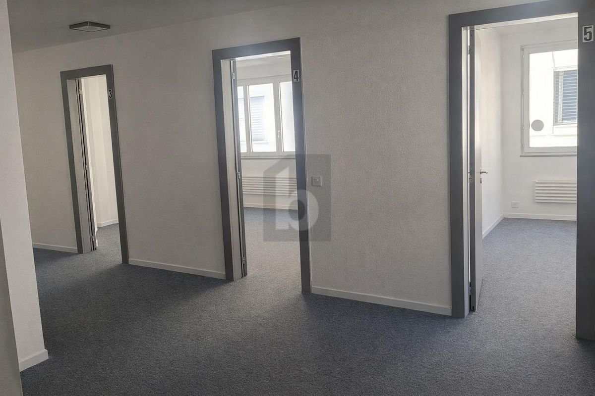 LUMINEUX, PRATIQUE ET CENTRAL - 2