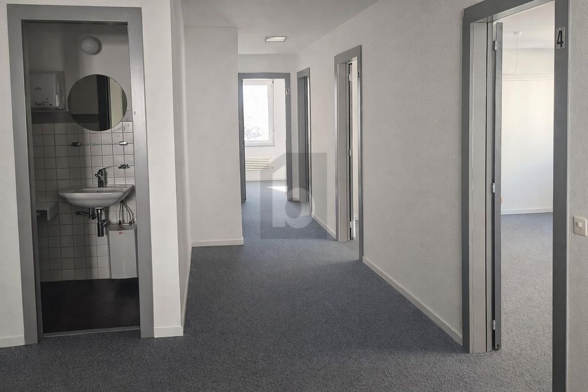 LUMINEUX, PRATIQUE ET CENTRAL - 3