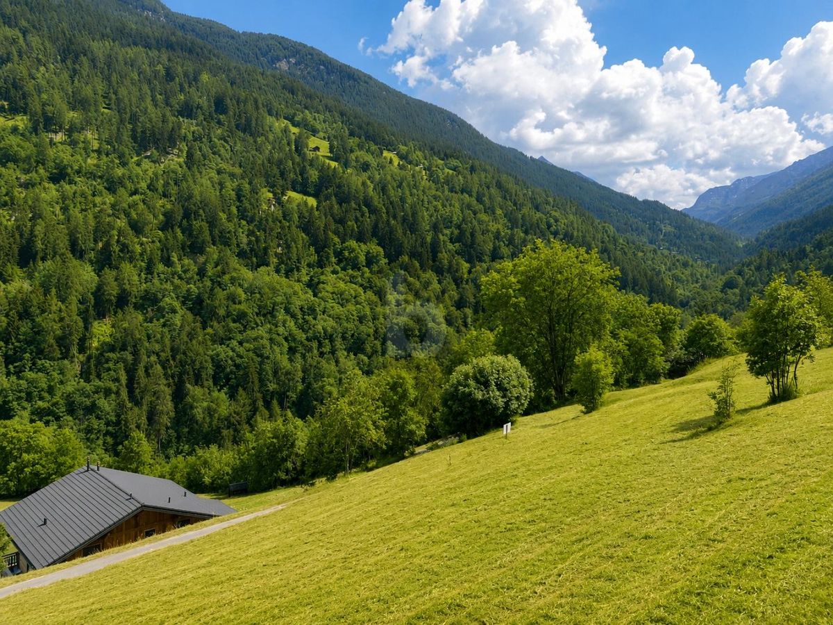 MAGNIFIQUE TERRAIN DANS UN CADRE NATUREL - 2