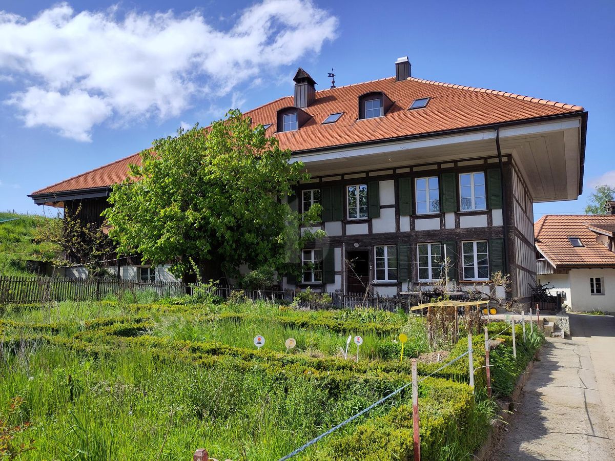 TOTALSANIERT IN EHEMALIGER MÜHLE - 0