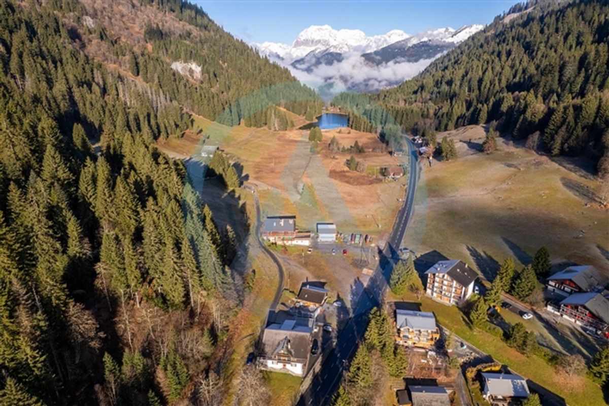 Ein außergewöhnliches Chalet, um Ihre Gruppenprojekte im Portes-du-Soleil zum Leben zu erwecken - 2