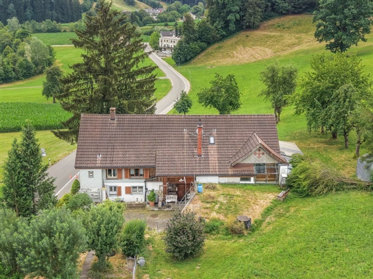 Charmantes Bauernhaus mit zwei Wohneinheiten an idyllischer Alleinlage in Oberwangen (Dussnang) - 5