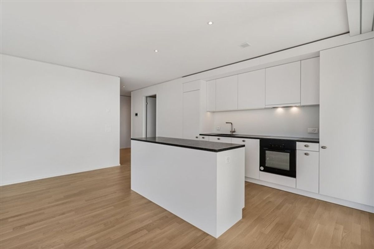 Nachmieter für Wohnung über Bern gesucht - 1