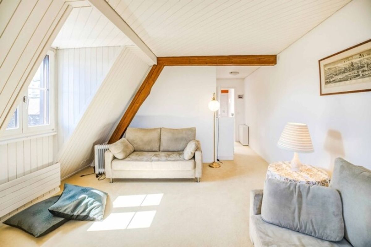 TROUVAILLE UNTER DEM DACH - 1.5 ZIMMER DACHWOHNUNG IN HORGEN - 3