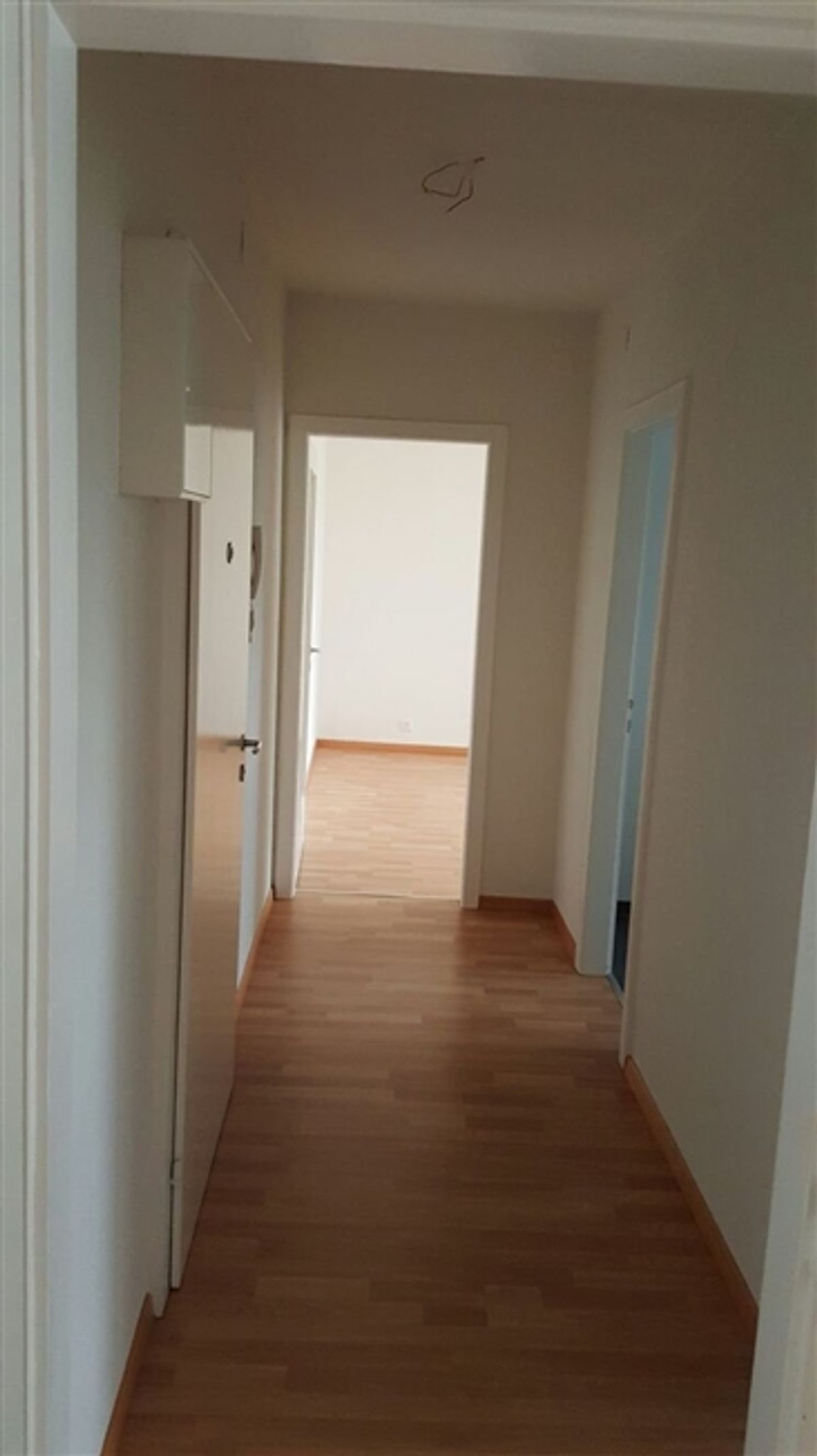 Moderne 2 Zimmerwohnung mit Balkon - 1
