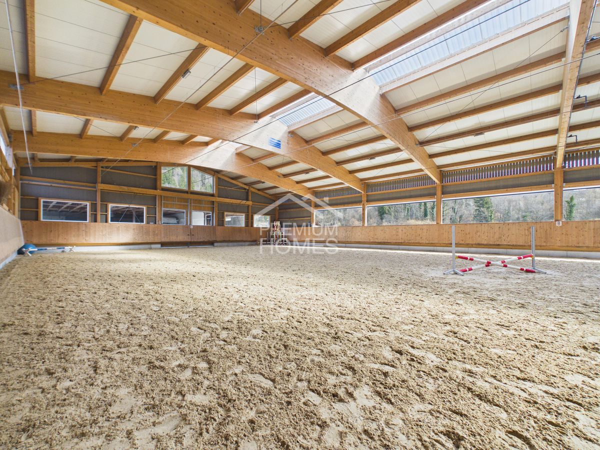 Professionelle Reitanlage mit 24 Boxen, Reithalle und Wohnhaus! - 0