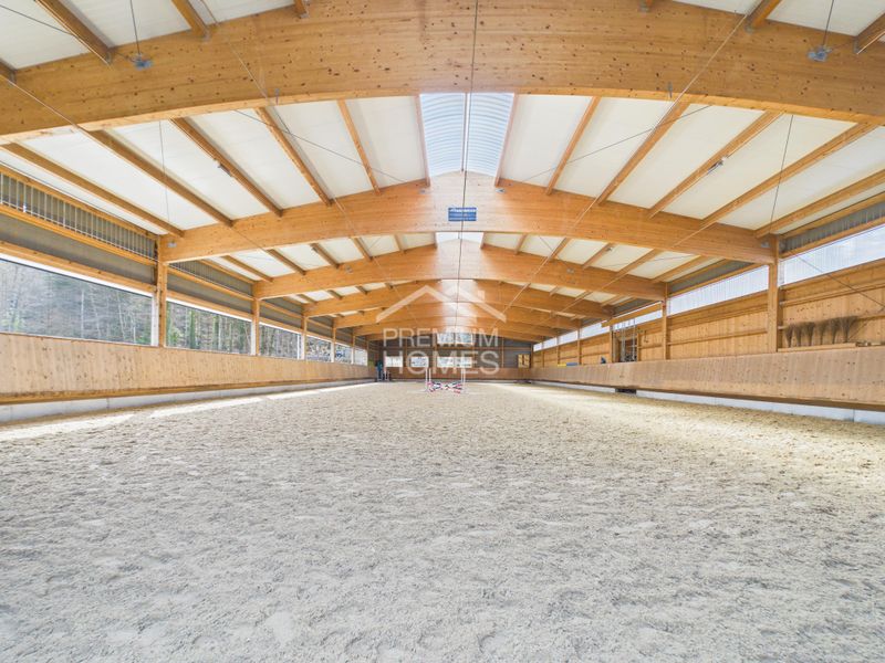 Professionelle Reitanlage mit 24 Boxen, Reithalle und Wohnhaus! - 3