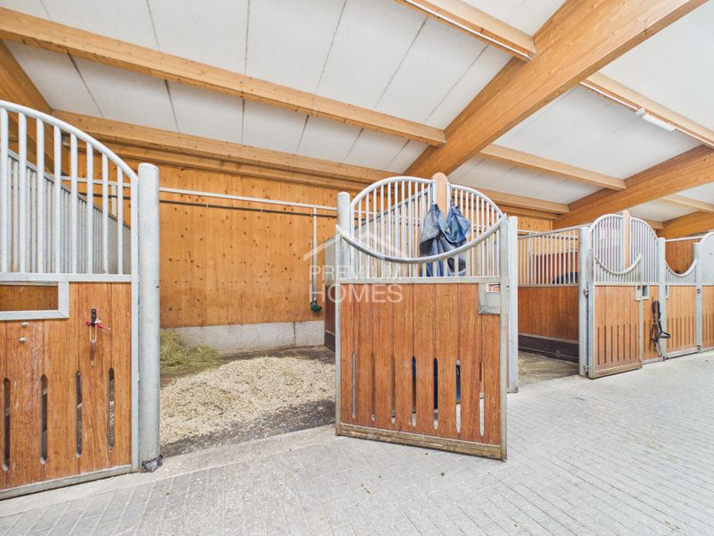 Professionelle Reitanlage mit 24 Boxen, Reithalle und Wohnhaus! - 4