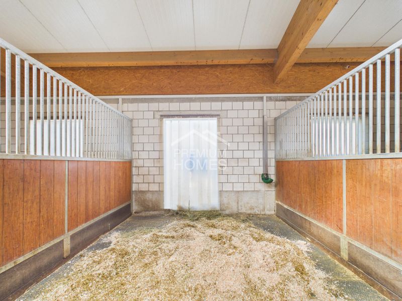 Professionelle Reitanlage mit 24 Boxen, Reithalle und Wohnhaus! - 6