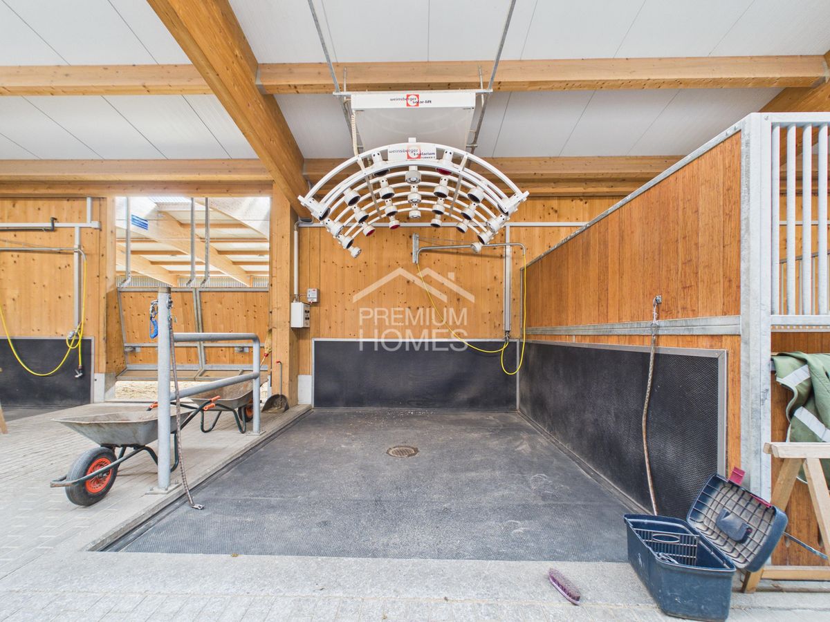 Professionelle Reitanlage mit 24 Boxen, Reithalle und Wohnhaus! - 6