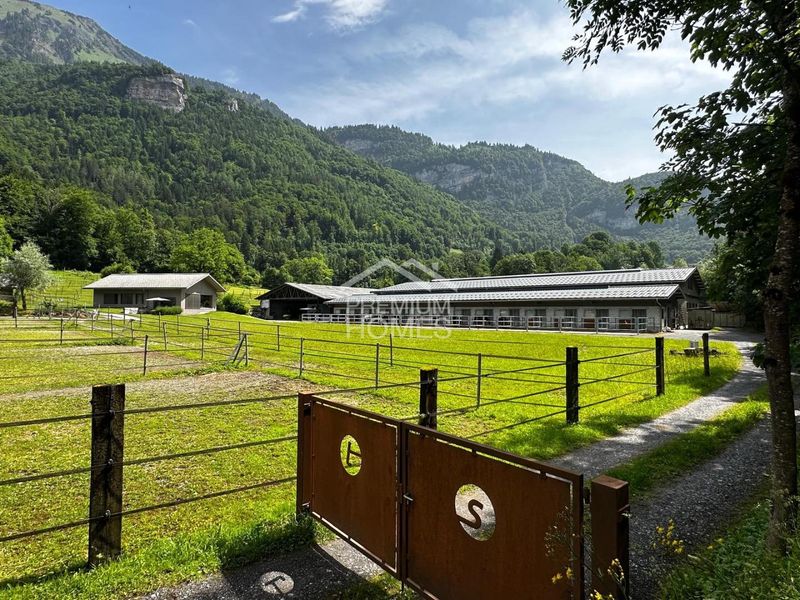 Professionelle Reitanlage mit 24 Boxen, Reithalle und Wohnhaus! - 11