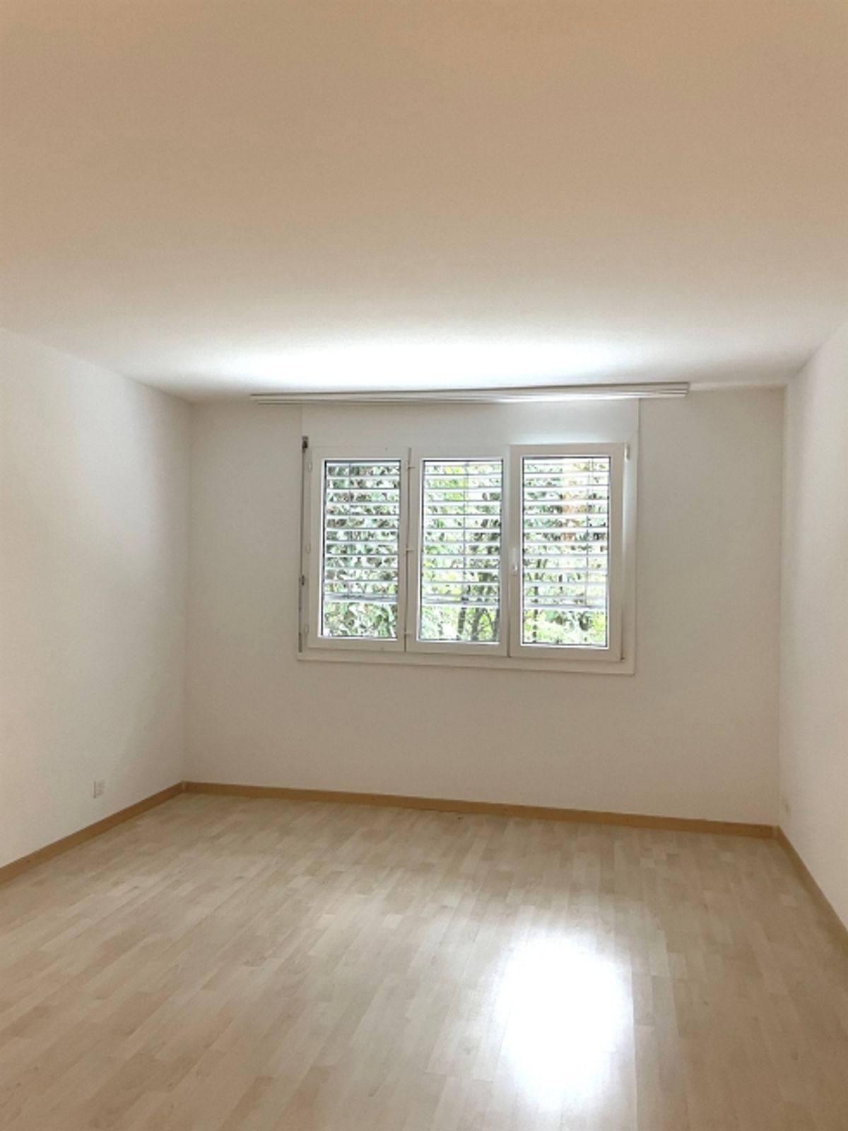 Ideale Singlewohnung mit Gartensitzplatz! - 5