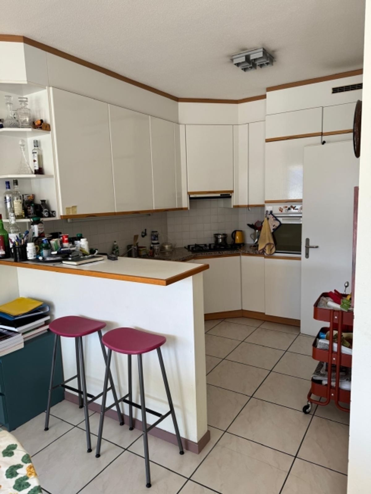 Esclusivo 4.5 appartamento terrazzato con vista panoramica e ampi spazi - 1