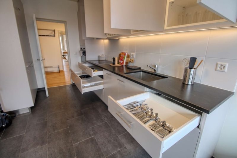 Spacious Coliving with Comfort and Community in Le Grand-Saconnex - 13