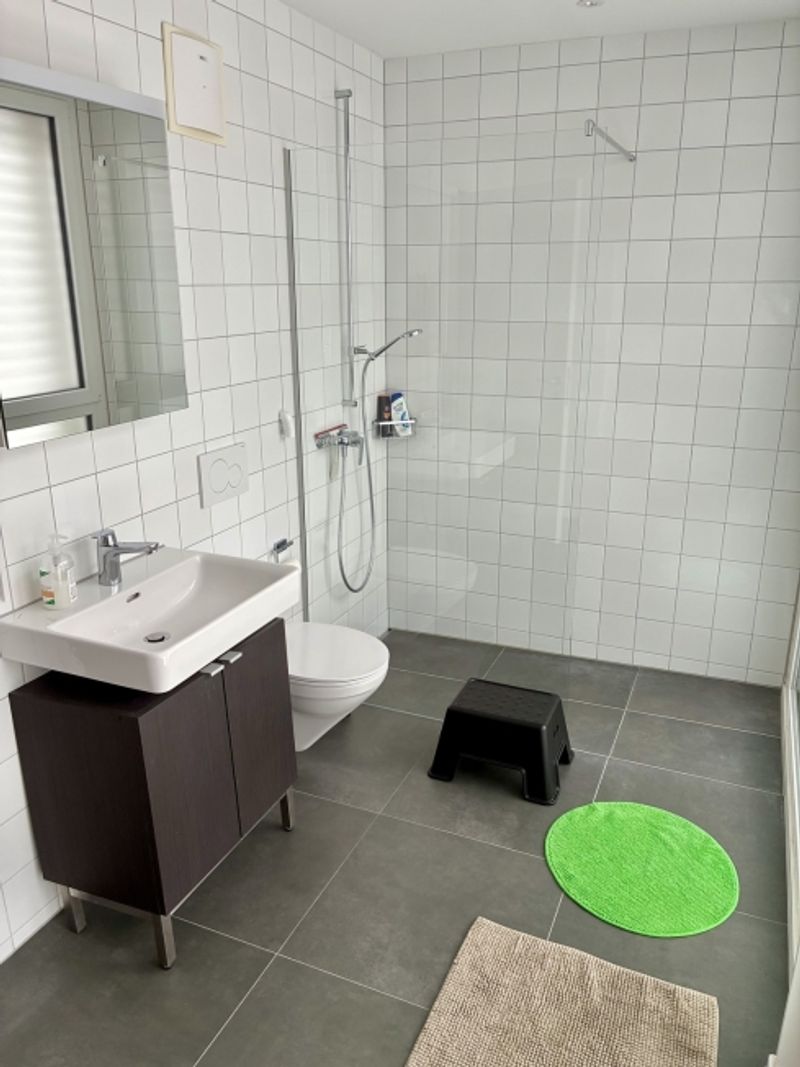 3½ ZI-WOHNUNG IN LUZERN, MÖBLIERT, TEMPORÄR - 6