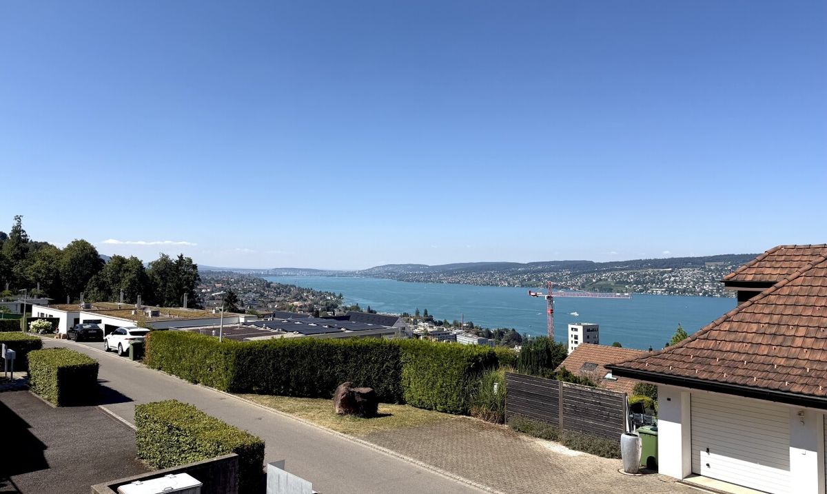 Terrassenwohnung in Horgen - 1