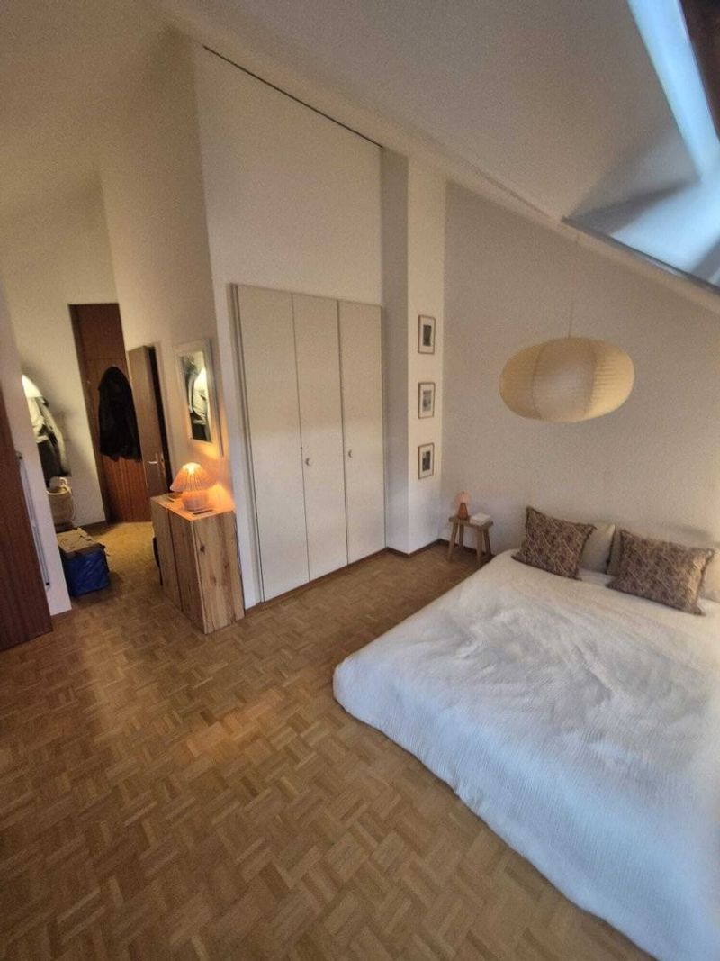 A saisir ! Magnifique logement à deux pas du Lac Léman ! - 4