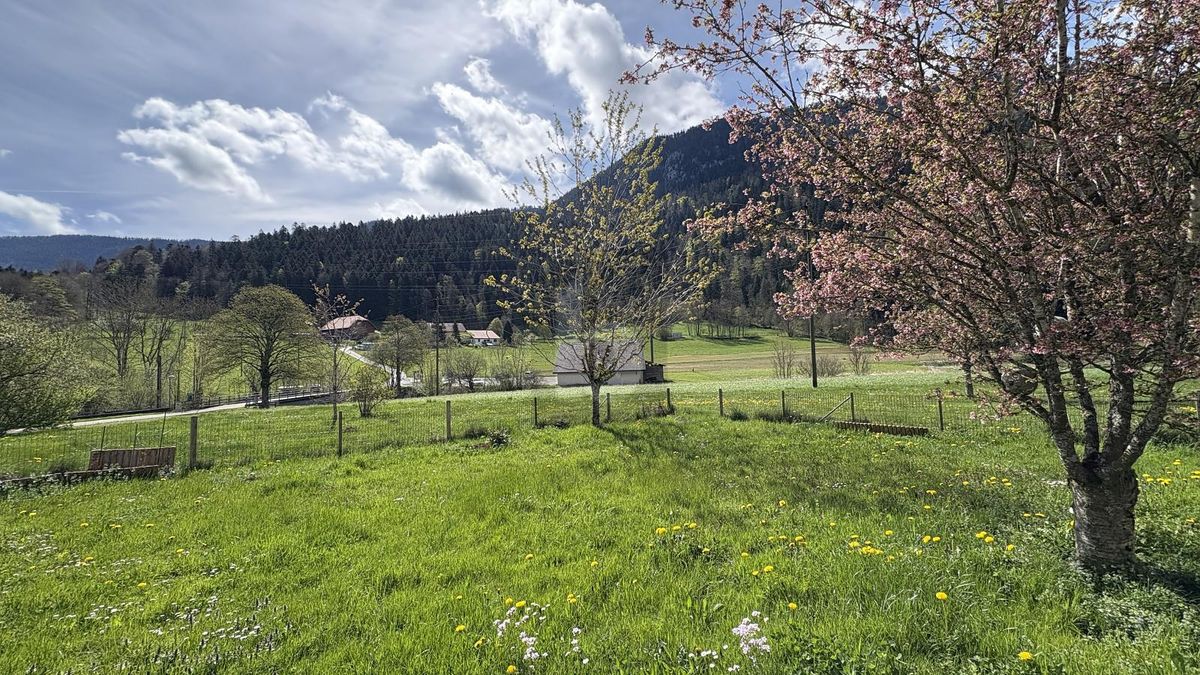 DANS UN ENDROIT IDYLLIQUE ET CALME - 1