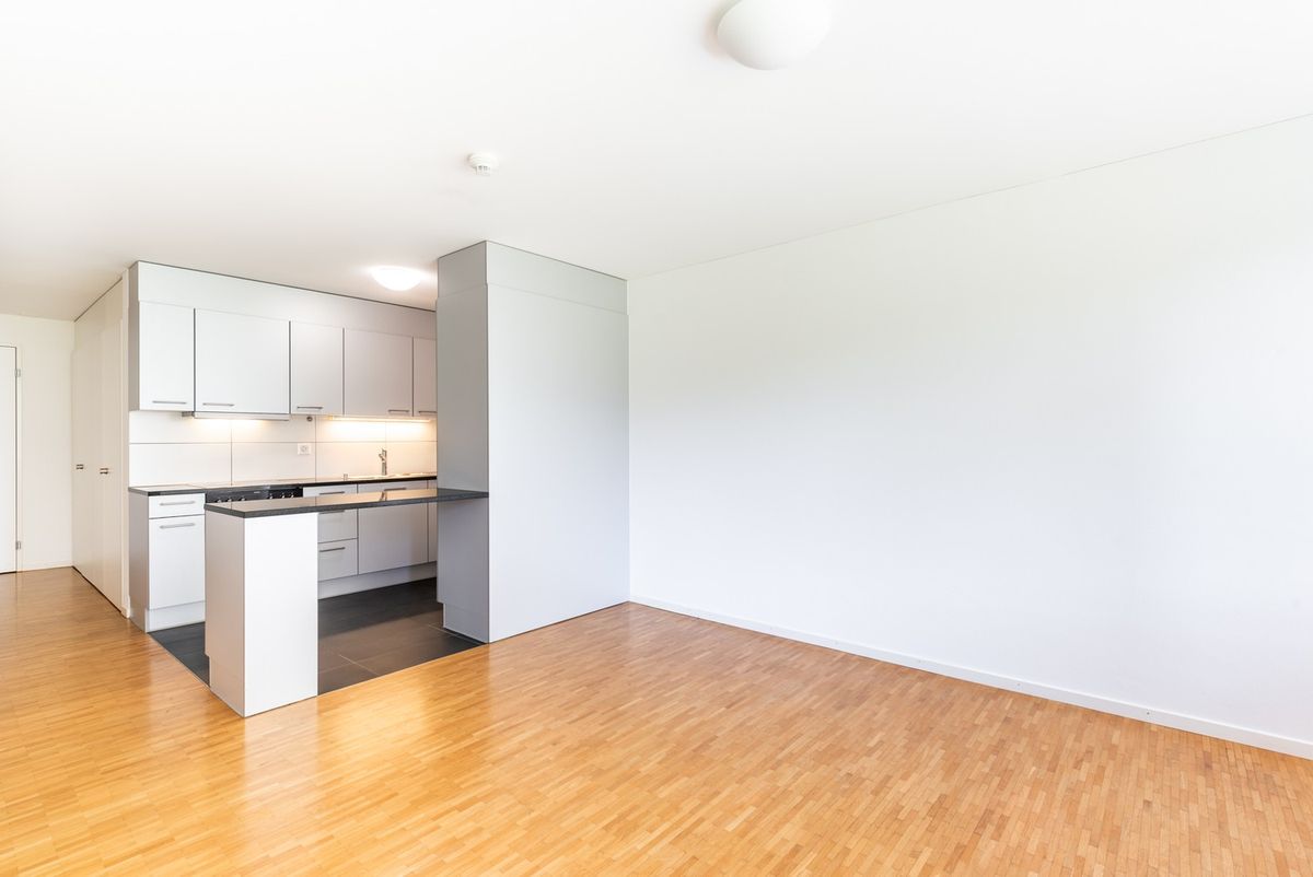 Logement de rêve pour les personnes seules - 3
