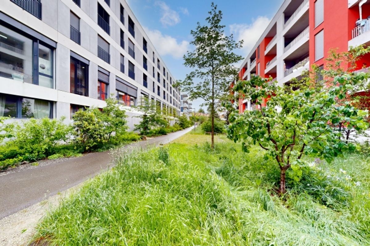 Dépôt dans le quartier des Vergers - 1