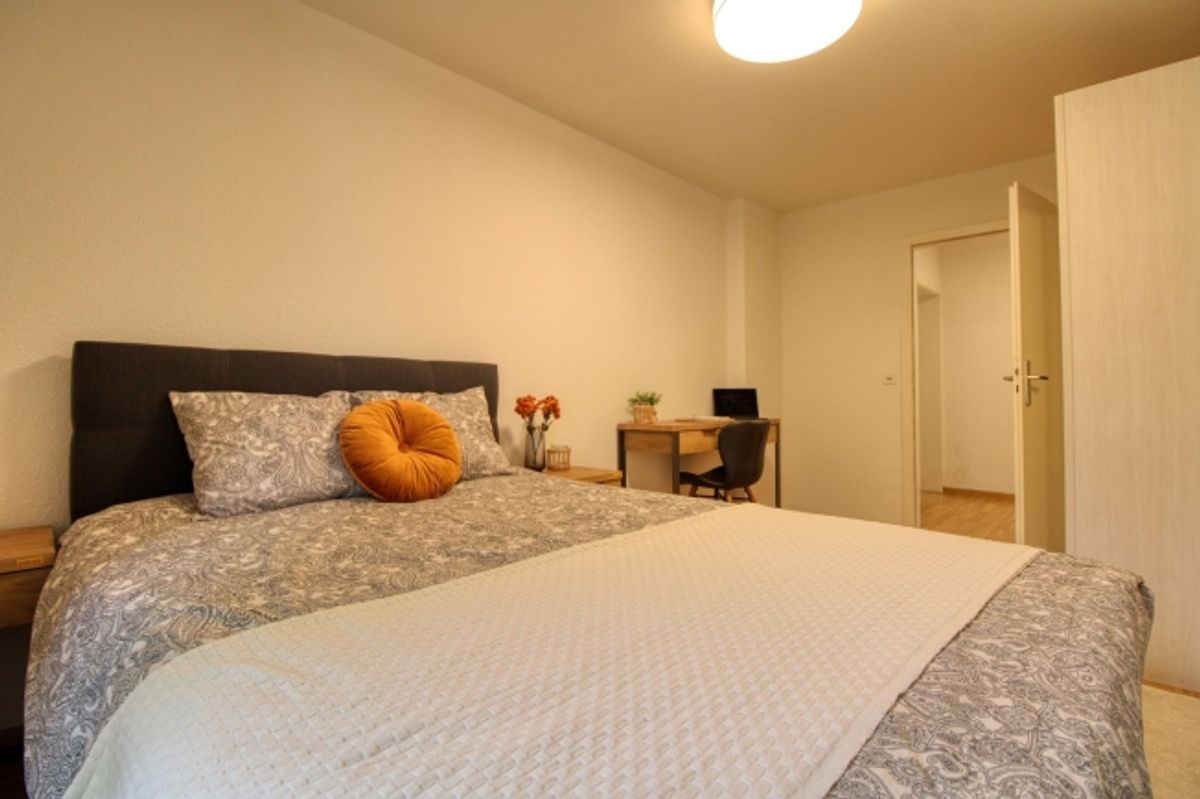 Comfortable Coliving in Zürich's Dynamic Altstetten District - 3