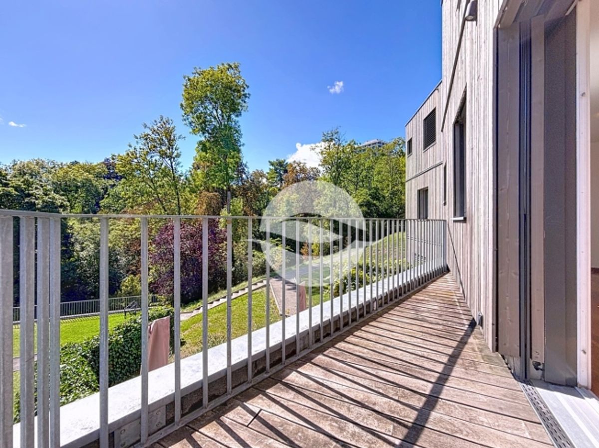 Petit-Lancy – In der Nähe von IIL – Schöne Wohnung mit Balkon und Zugang zum Gemeinschaftsgarten - 10