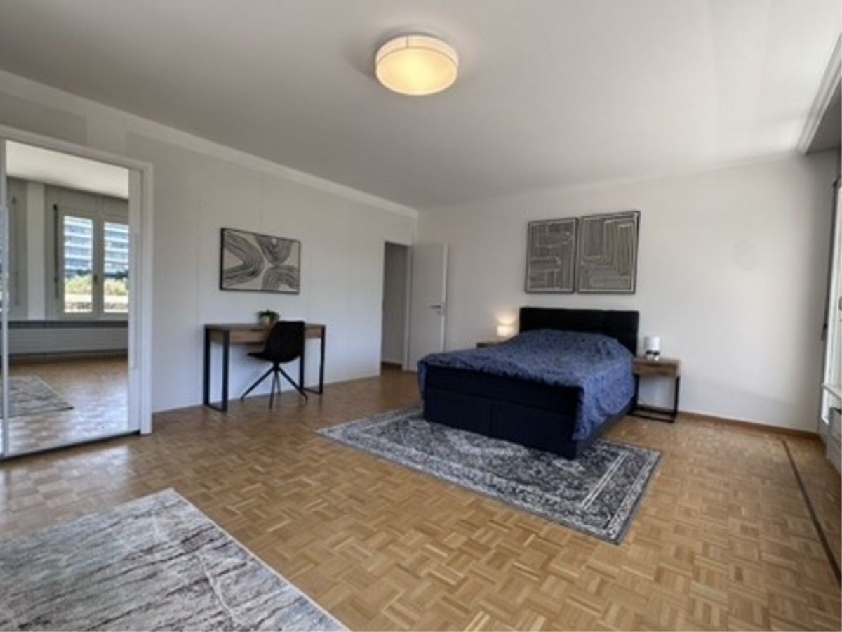 Coliving Smart & Social in Le Grand-Saconnex - 10