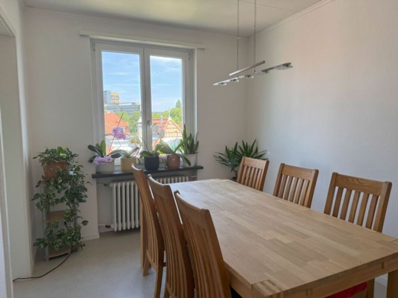 wohnen in Bern in einem sehr schönen, sonnigen und ruhigen  Quartier mit viel Grünanteilen - 7