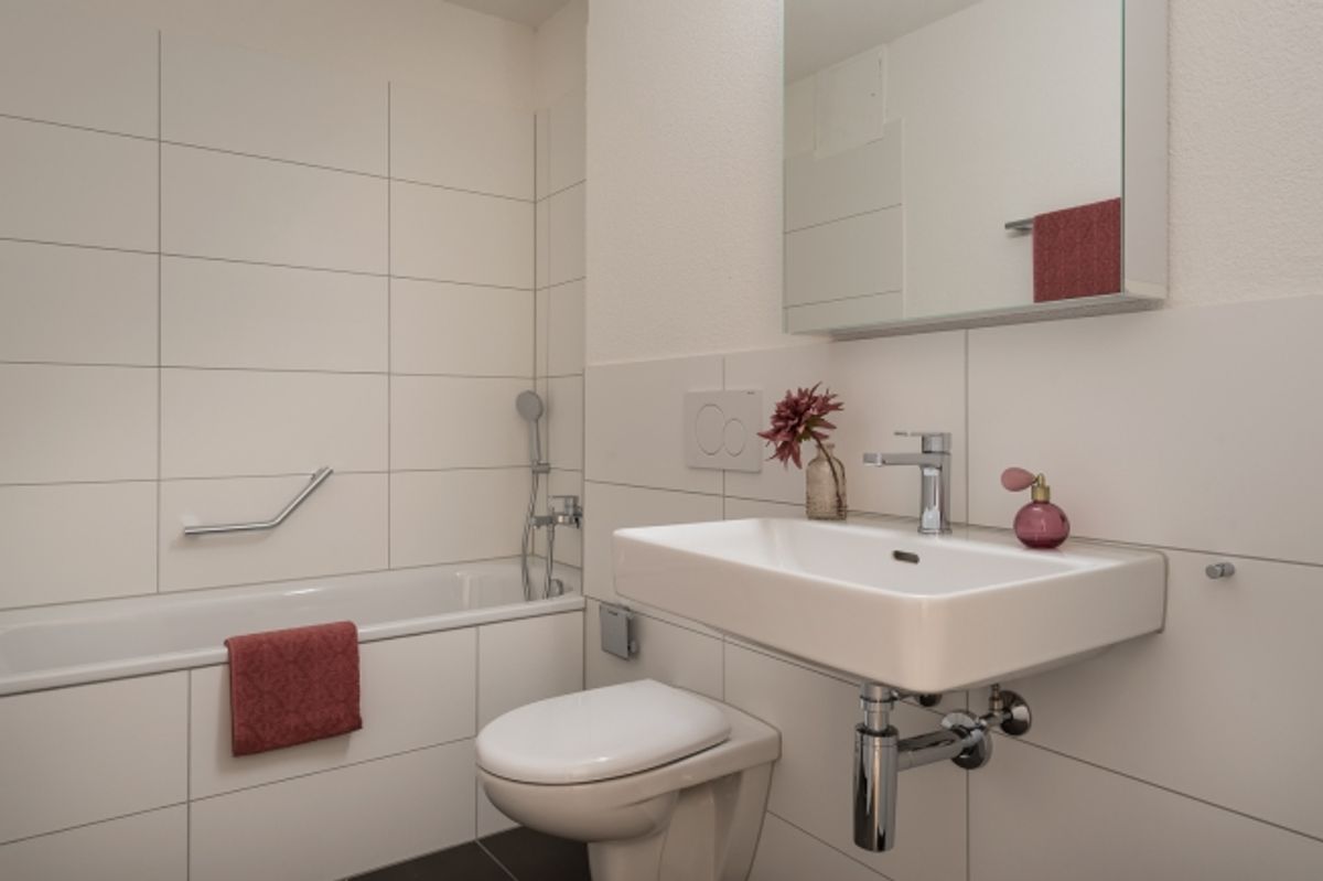 Schöne 4.5Zimmer Wohnng in Schaffhausen zu vermieten - 2