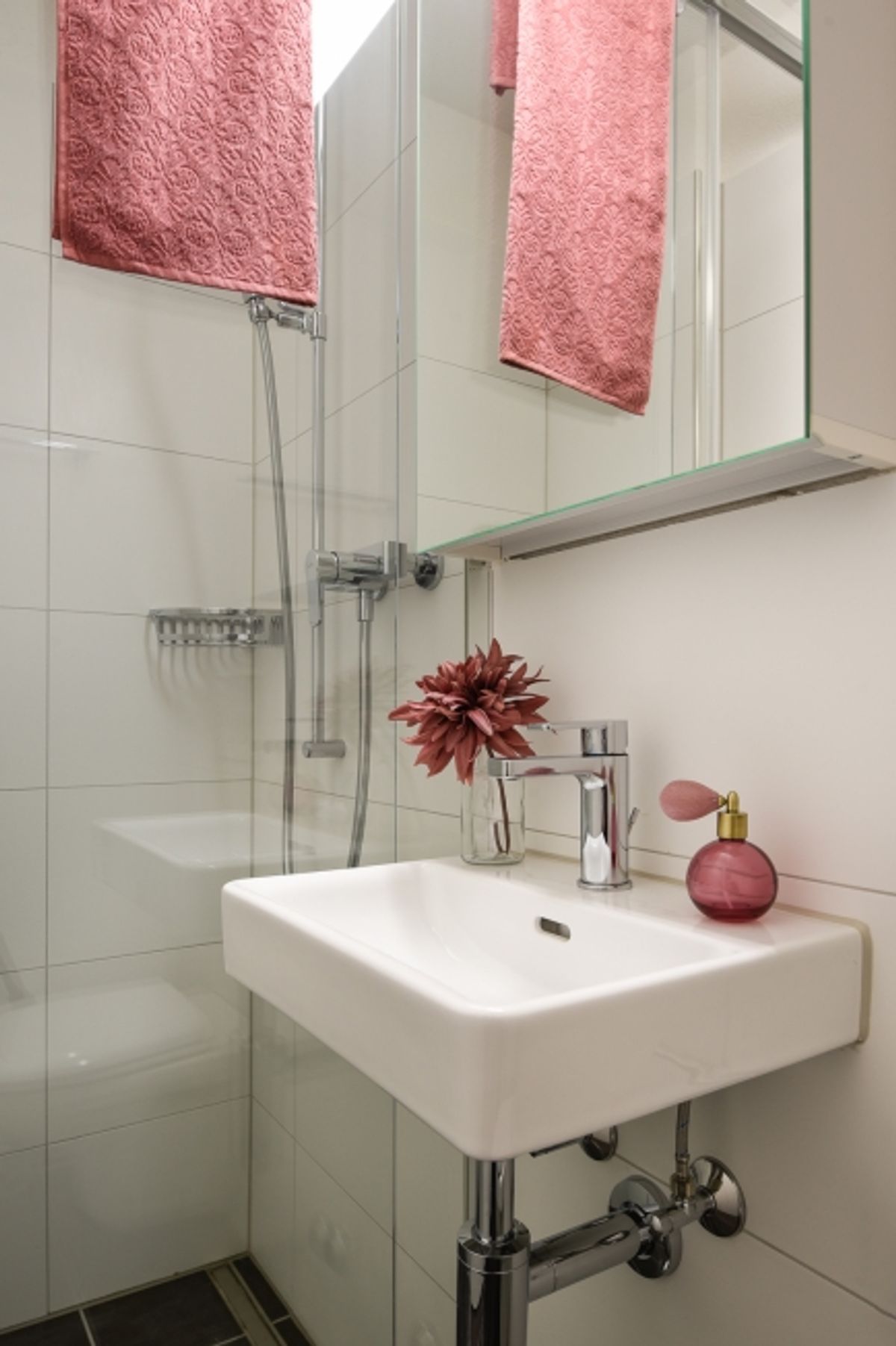 Schöne 4.5Zimmer Wohnng in Schaffhausen zu vermieten - 3