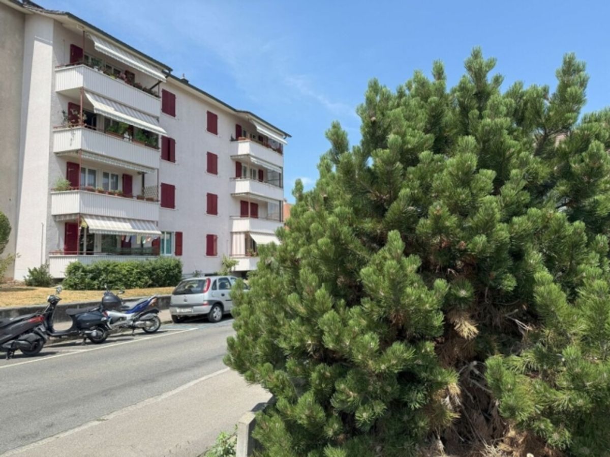 wohnen in Bern in einem sehr schönen, sonnigen und ruhigen  Quartier mit viel Grünanteilen - 0