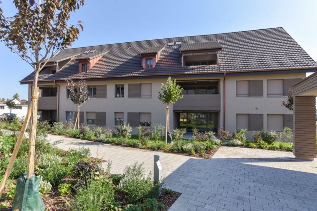 Neubau-Gartenwohnung mit moderner Haustechnik und offenem Grundriss - 0
