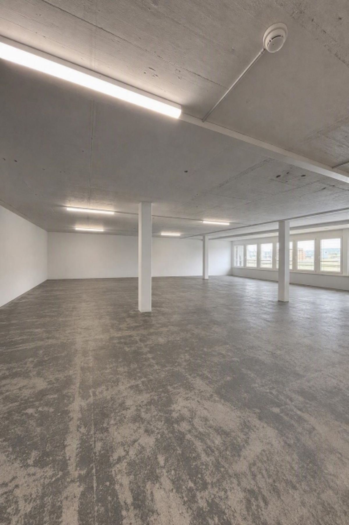 Helle Archivräume zu vermieten - 1