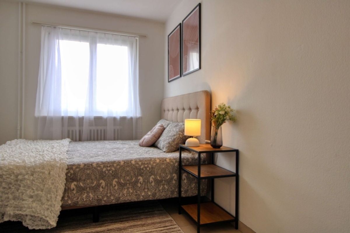 Spacious Coliving Apartment with Large Terrace in Wallisellen - 0