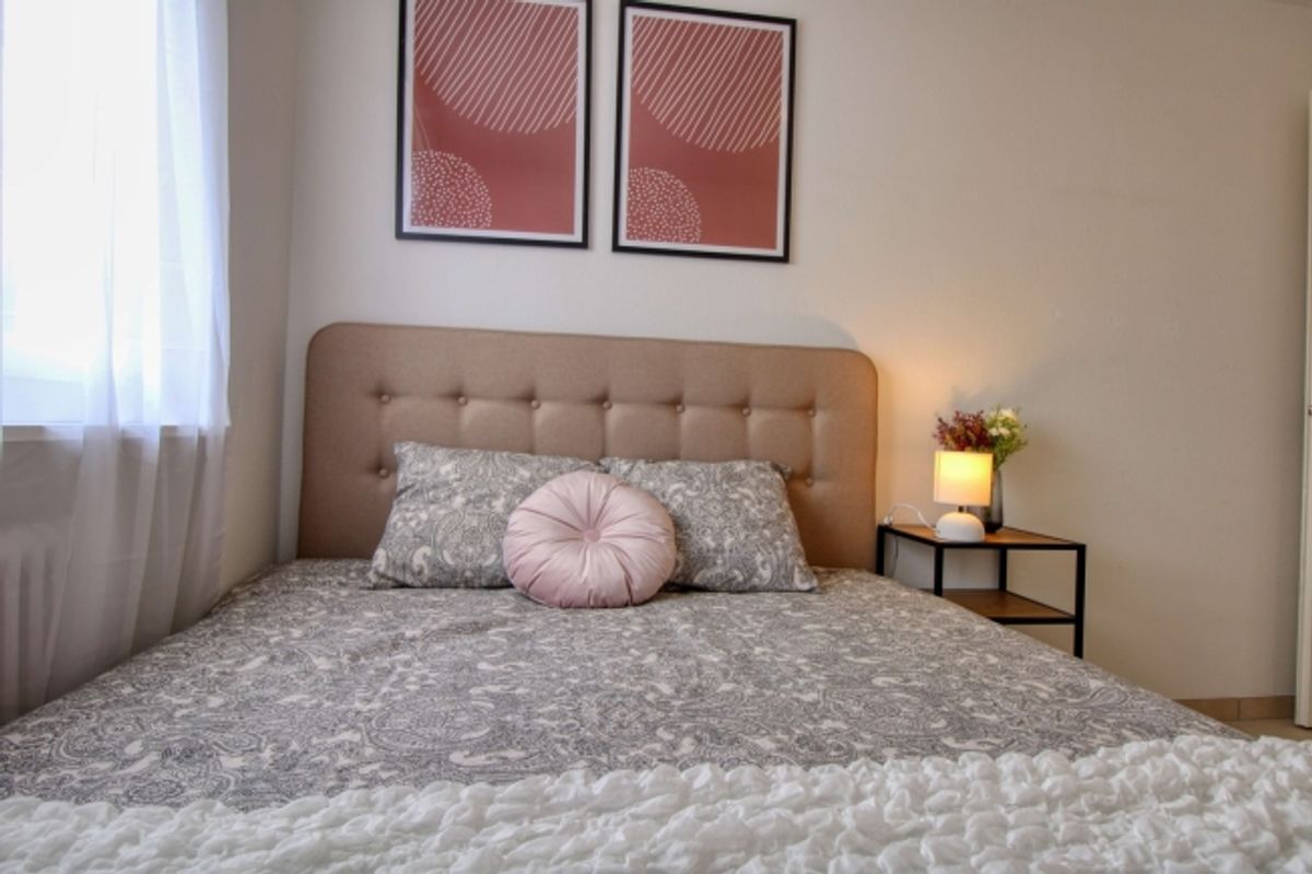 Spacious Coliving Apartment with Large Terrace in Wallisellen - 4