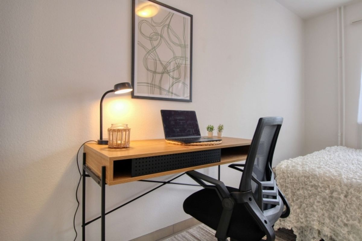 Spacious Coliving Apartment with Large Terrace in Wallisellen - 5