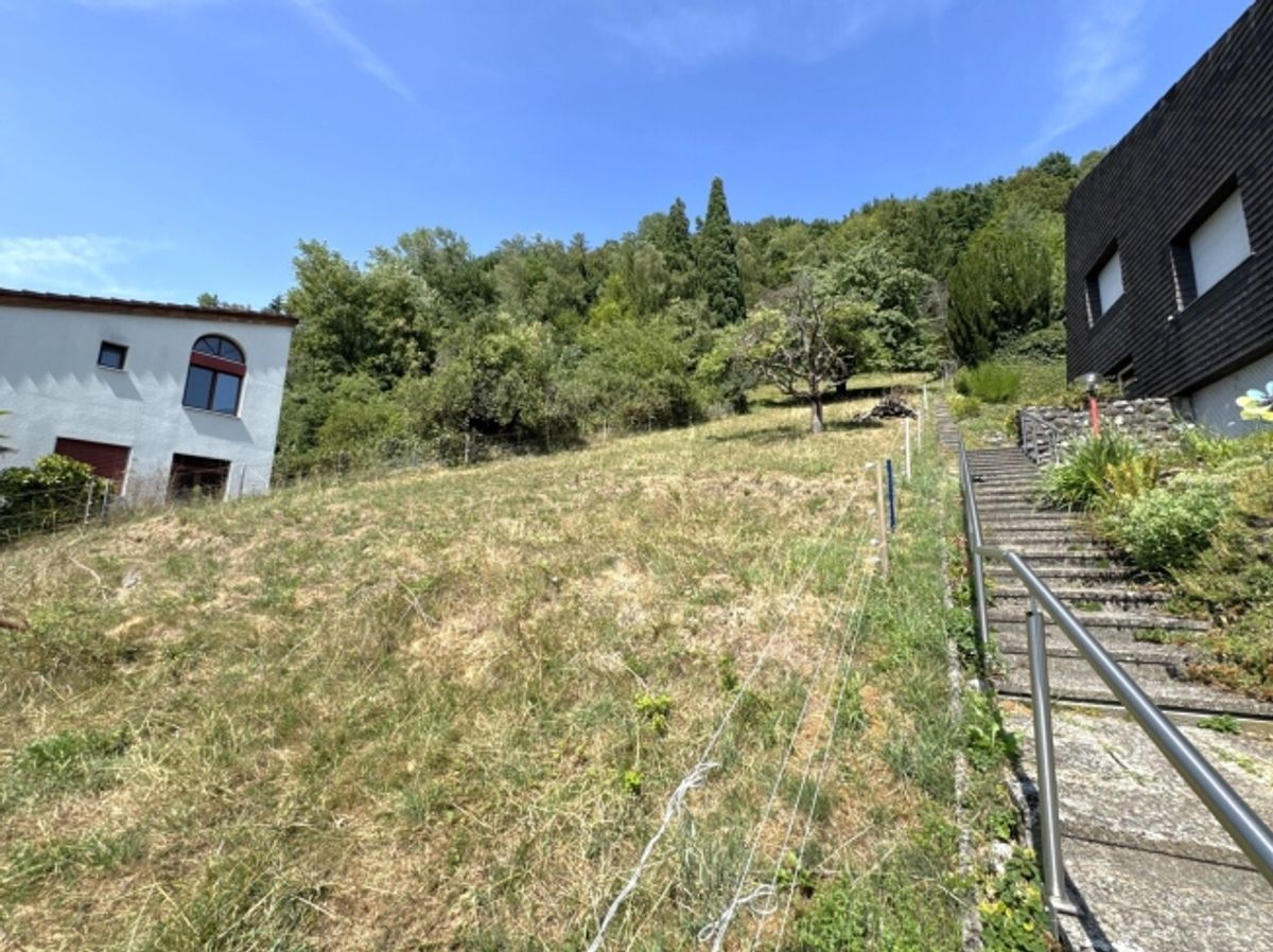 Eine Rarität – Bauland/EFH an ruhiger, sonniger Aussichtslage - 4