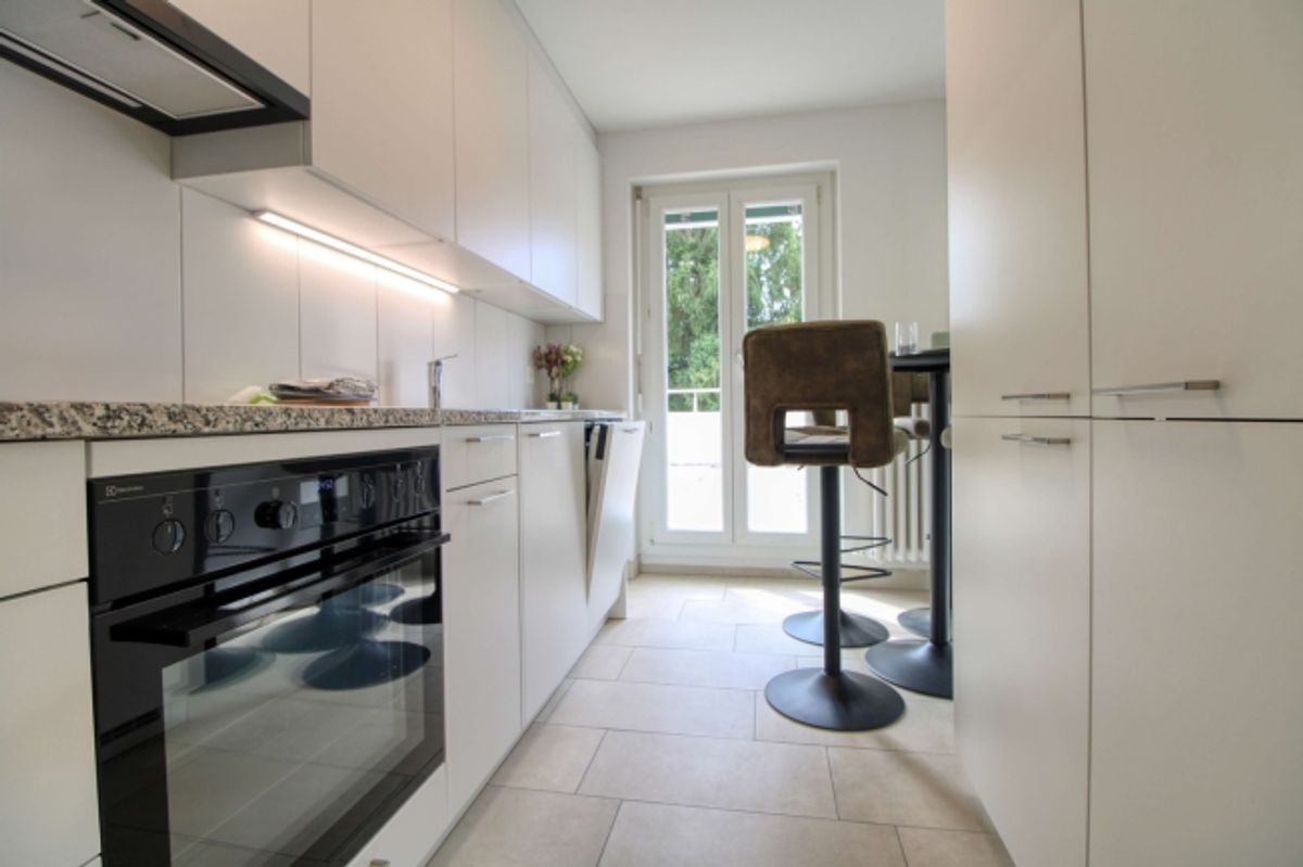 Spacious Coliving Apartment with Large Terrace in Wallisellen - 8