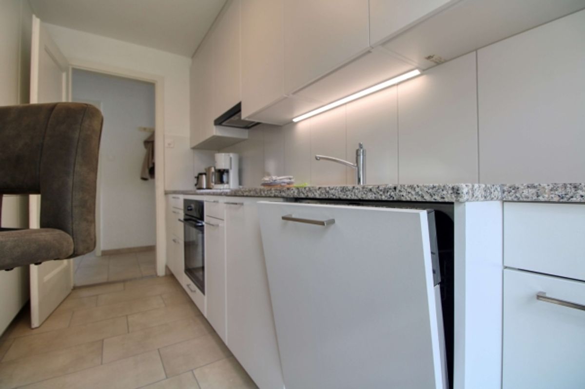 Spacious Coliving Apartment with Large Terrace in Wallisellen - 10